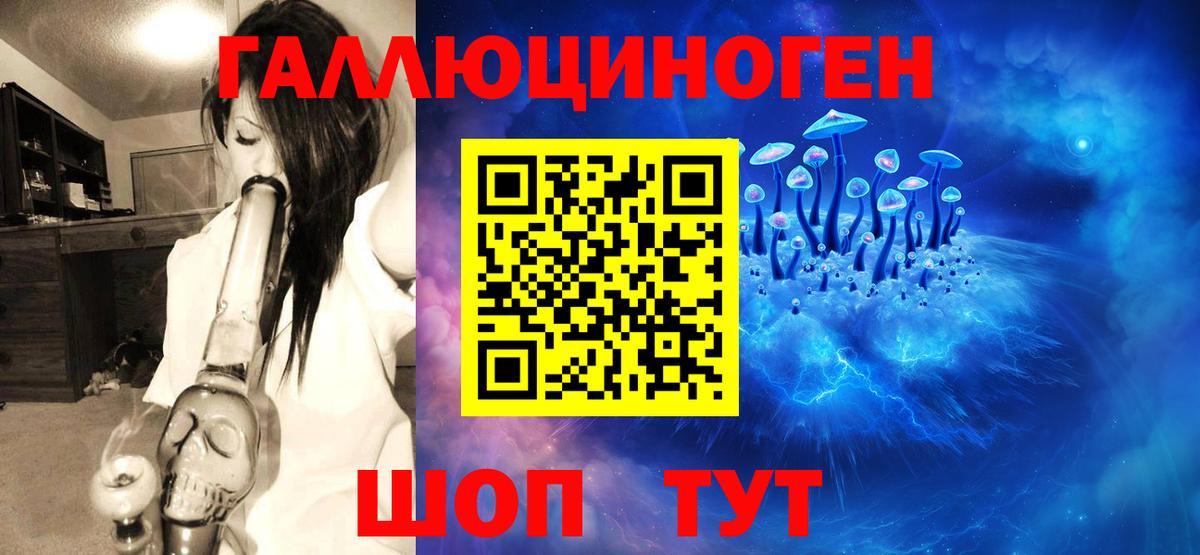 Галлюциногенные грибы MAGIC MUSHROOMS Петропавловск-Камчатский