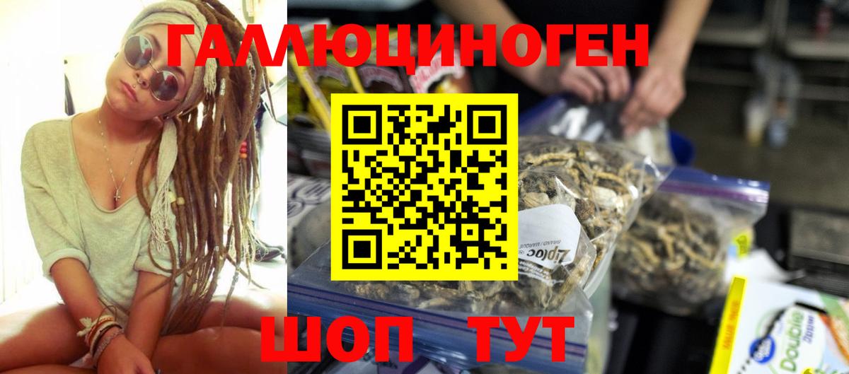 купить   Вход с VPN  Петропавловск-Камчатский  Псилоцибиновые грибы мухоморы 